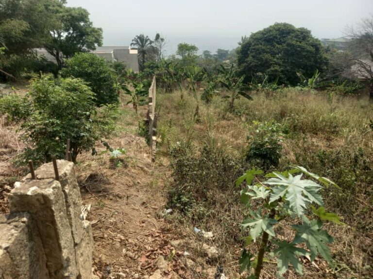 4 plots of land